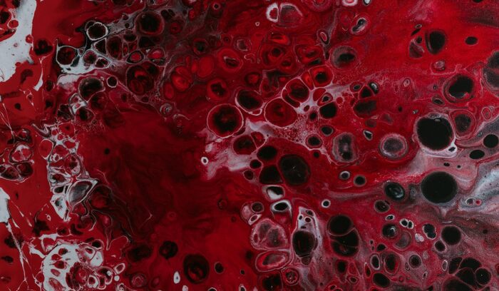 Blood cells under microscope, for article on smart insulin, for article on lab-grown blood cells